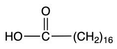 fatty acid molecule