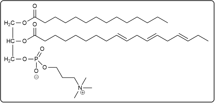 Glycerophospholipid structure with myristic acid, α-linolenic acid, phosphate, and N-methyl choline.