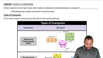 Intro to Coenzymes Concept 1