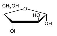 cyclic hemiacetal