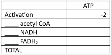 Table showing ATP yield calculation for Behenic acid with empty values.