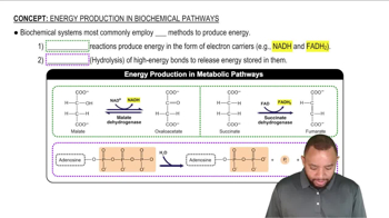 Energy Production In Biochemical Pathways Concept 1