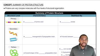 Summary of Protein Structure Concept 1