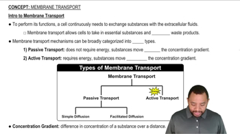 Membrane Transport Concept 1