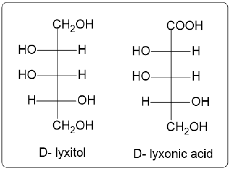 Fischer projections of D-lyxitol and D-lyxonic acid with labels.