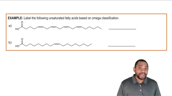 Fatty Acids Example 3