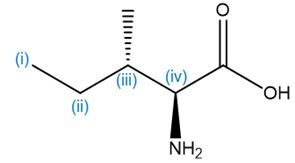 Chemical structure of isoleucine indicating carbon types: (i) secondary, (ii) secondary, (iii) secondary, (iv) tertiary.