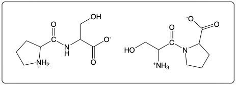 Dipeptide structure with proline and serine, showing hydroxyl and amine groups.