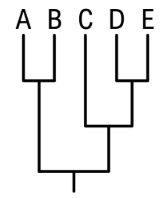 Phylogenetic tree diagram showing evolutionary relationships among five labeled groups: A, B, C, D, and E.