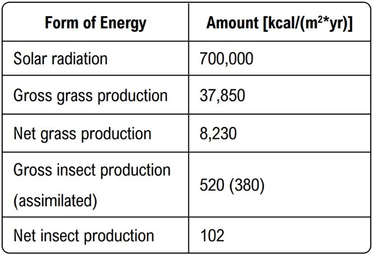 Table showing forms of energy with amounts in kcal per square meter per year, including solar radiation and production values.