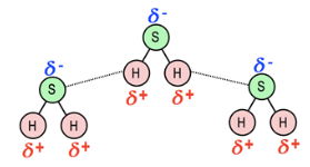 Diagram showing water molecules with intramolecular covalent bonds and intermolecular hydrogen bonds labeled.
