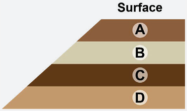 Cross-section of sedimentary rock layers labeled A to D, showing distinct horizontal strata beneath the surface.