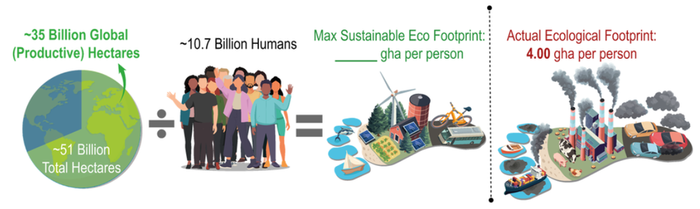 Diagram showing global productive hectares divided by 10.7 billion people equals max sustainable footprint, compared to actual 4.00 gha.