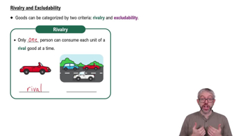 Rivalry and Excludability