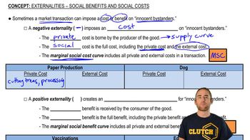 Negative Externality and Positive Externality