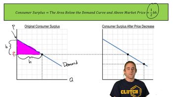 Consumer Surplus and Market Demand