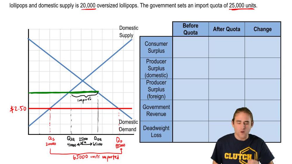 Import Quotas and VERs