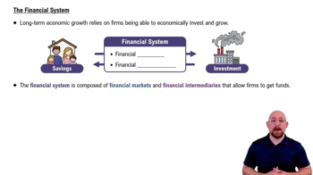 The Financial System
