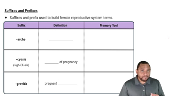 Suffixes and Prefixes Concept 3