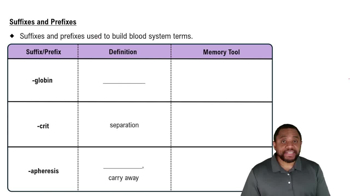 Suffixes and Prefixes Concept 3