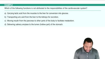 Introduction to Cardiovascular System Example 1