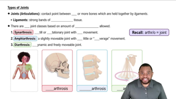 Types of Joints Concept 1