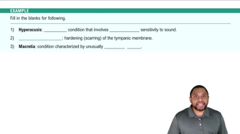 Combining Forms and Suffixes Example 1