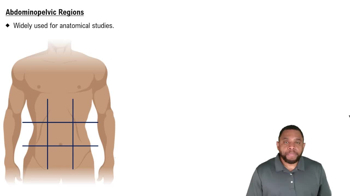 Abdominopelvic Regions Concept 2