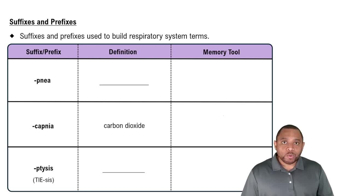 Suffixes and Prefixes Concept 3