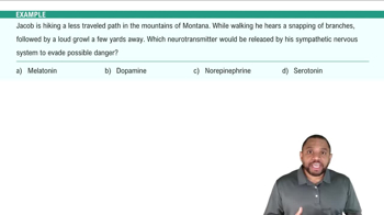 Pathology Example 1
