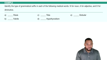 Grammatical Suffixes: Nouns Example 2
