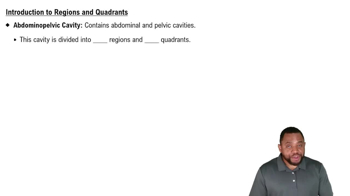 Introduction to Regions and Quadrant Concept 1