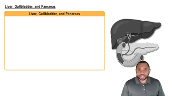 Liver, Gallbladder, and Pancreas Concept 7