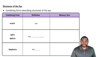 Structures of the Eye Concept 1