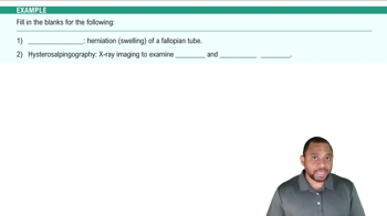 Components of Female Reproductive System Example 1