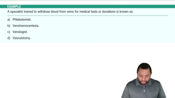 Structures of Cardiovascular System Example 1