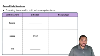 General Body Structures Concept 2
