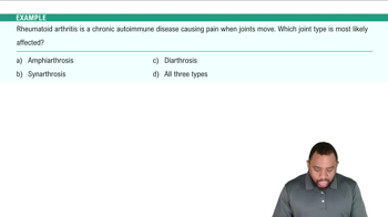 Types of Joints Example 1