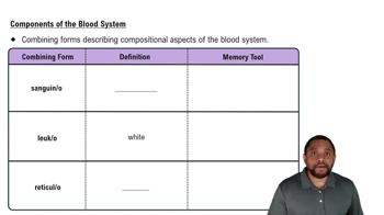 Components of the Blood System Concept 1