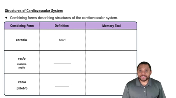 Structures of Cardiovascular System Concept 1