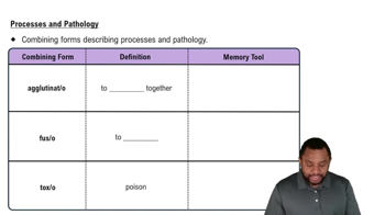 Processes and Pathology Concept 2