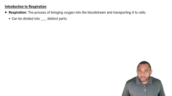 Introduction to Respiration Concept 1