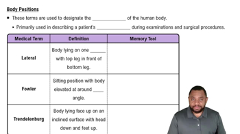 Body Positions Concept 2