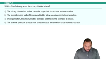 Urinary Bladder Example 4