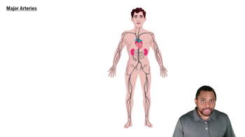 Major Arteries Concept 1