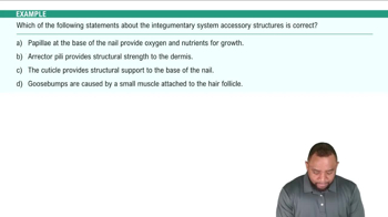 Accessory Structures: Nails Example 5