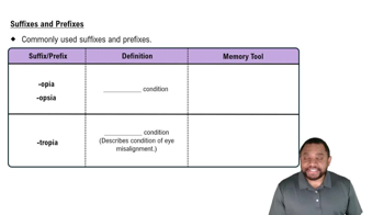 Suffixes and Prefixes Concept 3