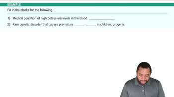 Components of the Endocrine System Example 1