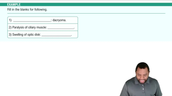 Structures of the Eye Example 1