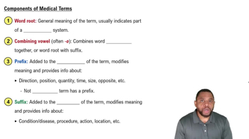 Medical Term Components Concept 2